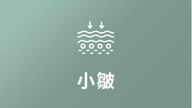 小皺