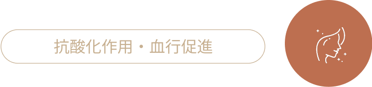 抗酸化作用・血行促進