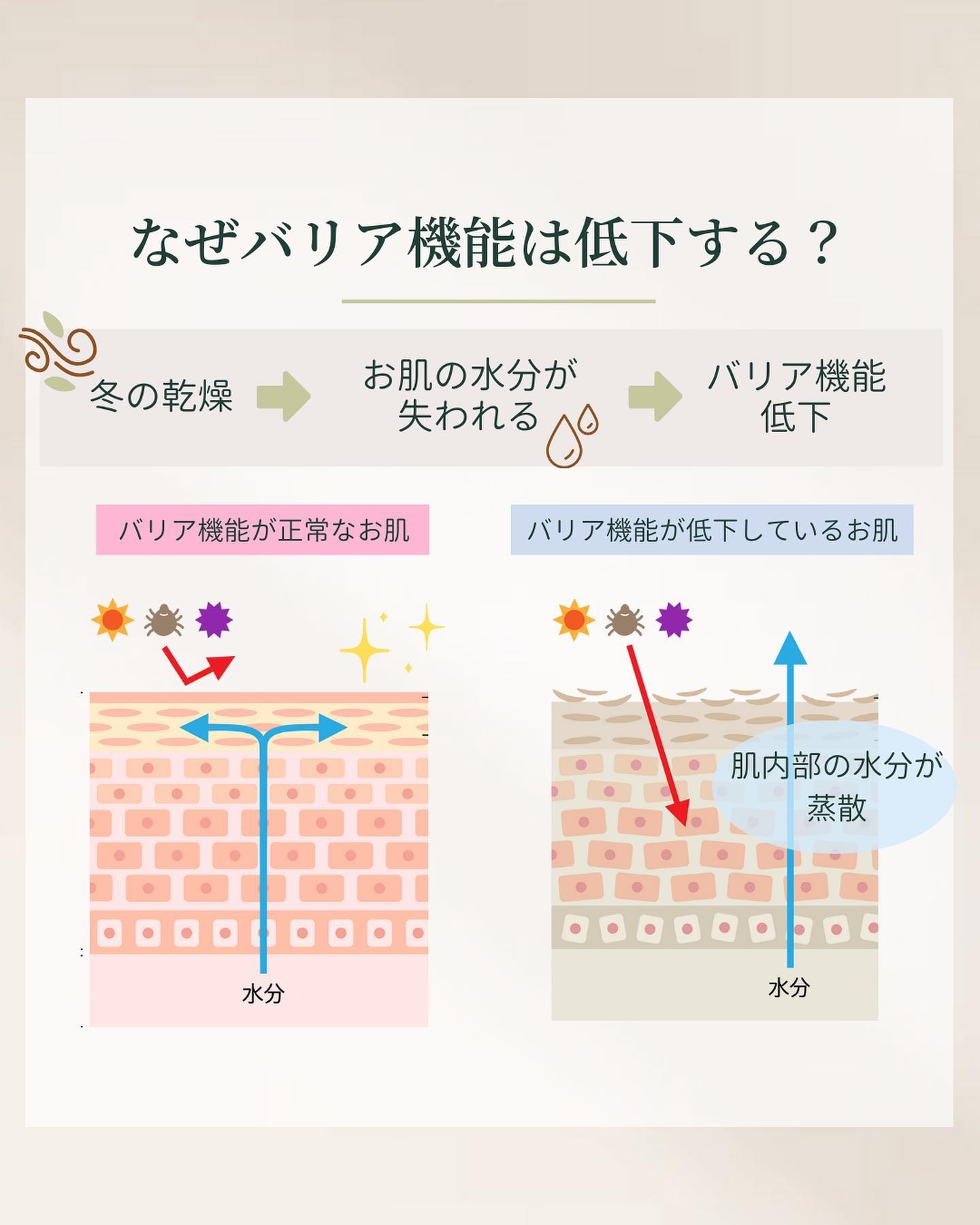 肌のバリア機能低下のしくみ