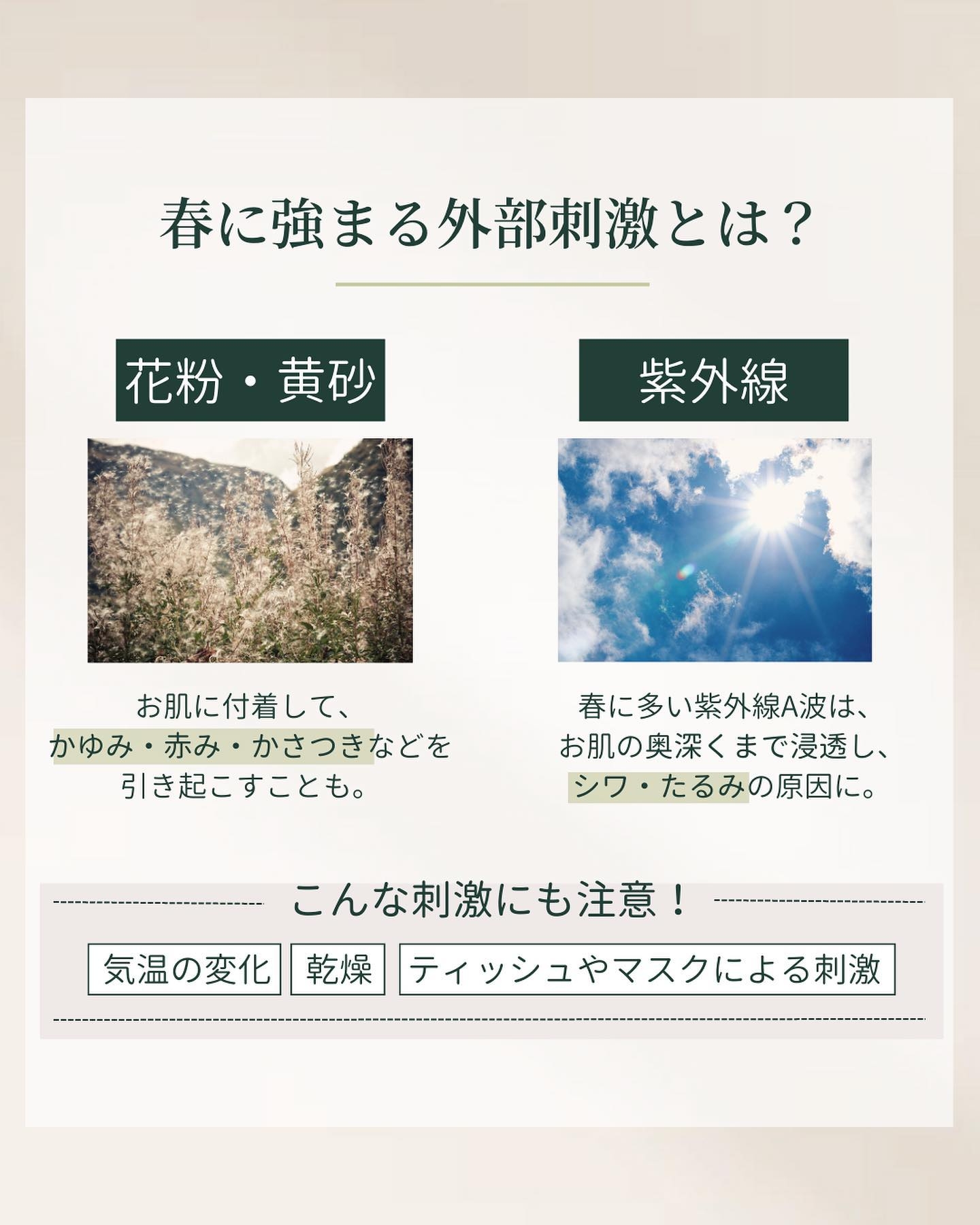 春に強まる外部刺激の例