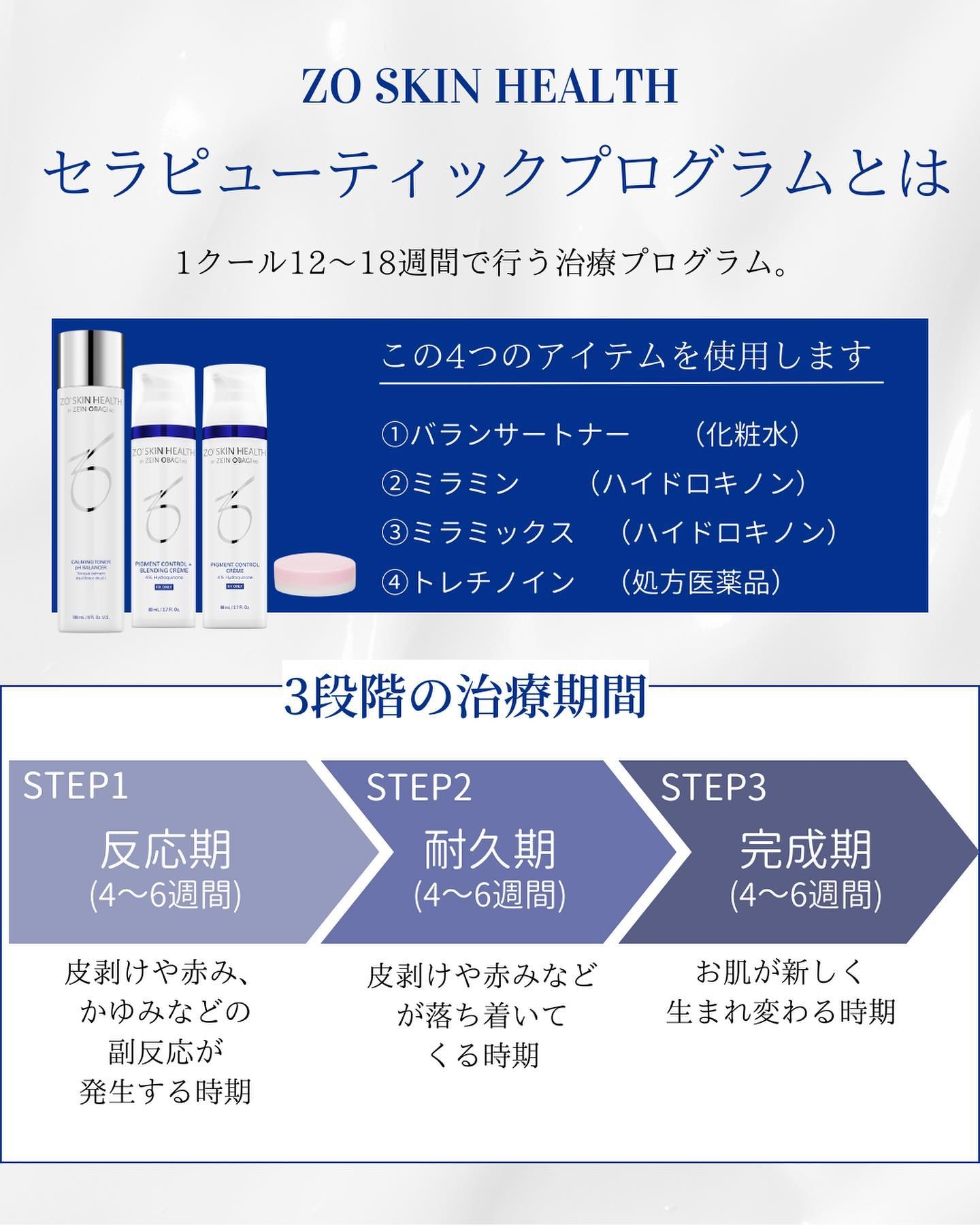 セラピューティックプログラムとは