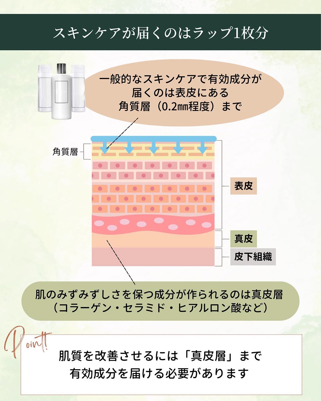 一般的なスキンケアの有効成分が浸透する皮膚の角質層の厚みを分かりやすく解説したイラスト