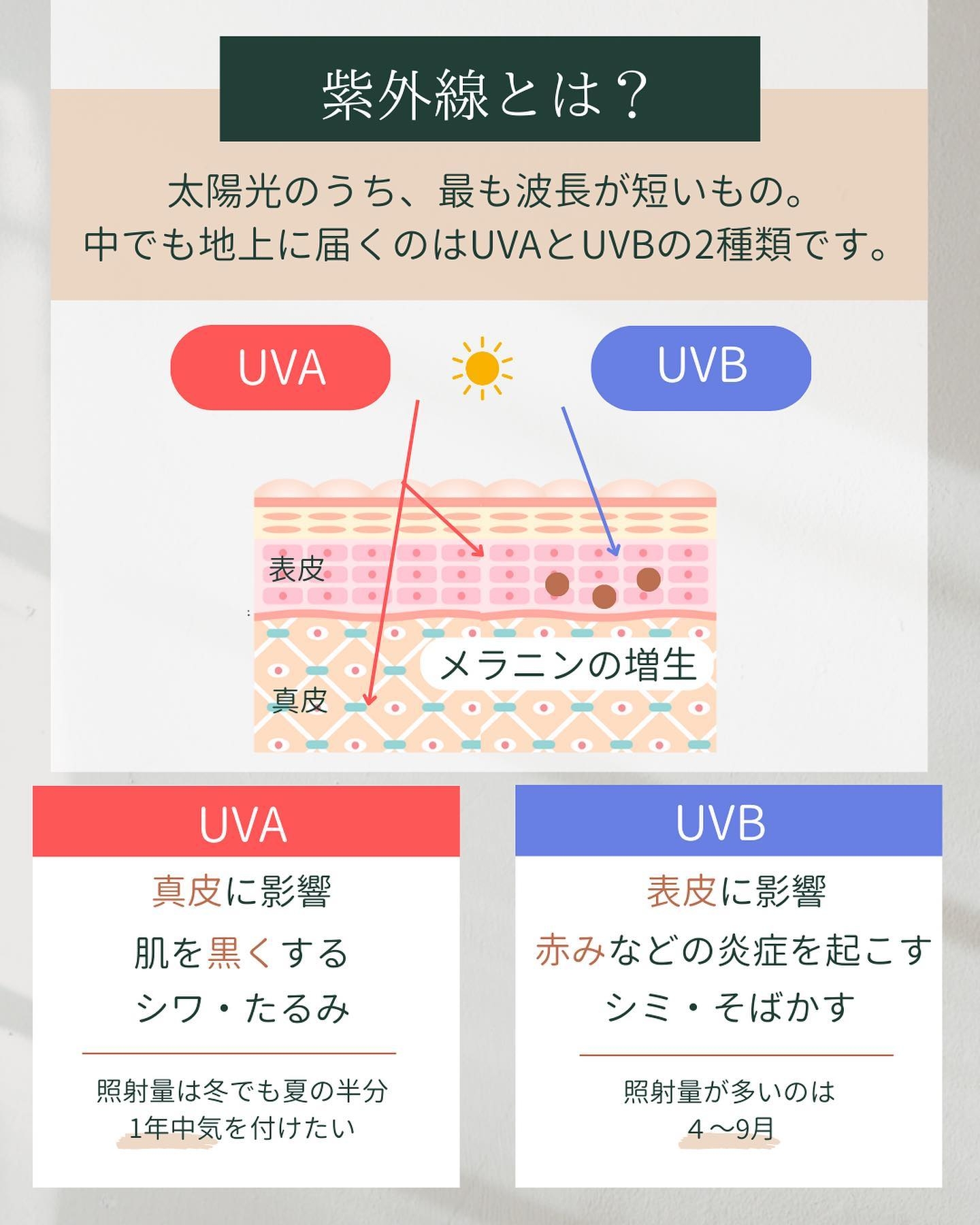 紫外線とは