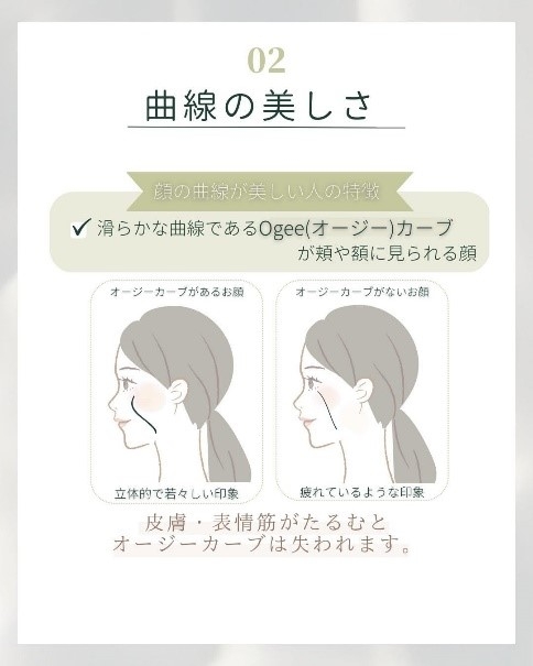 美人顔 曲線の美しさ