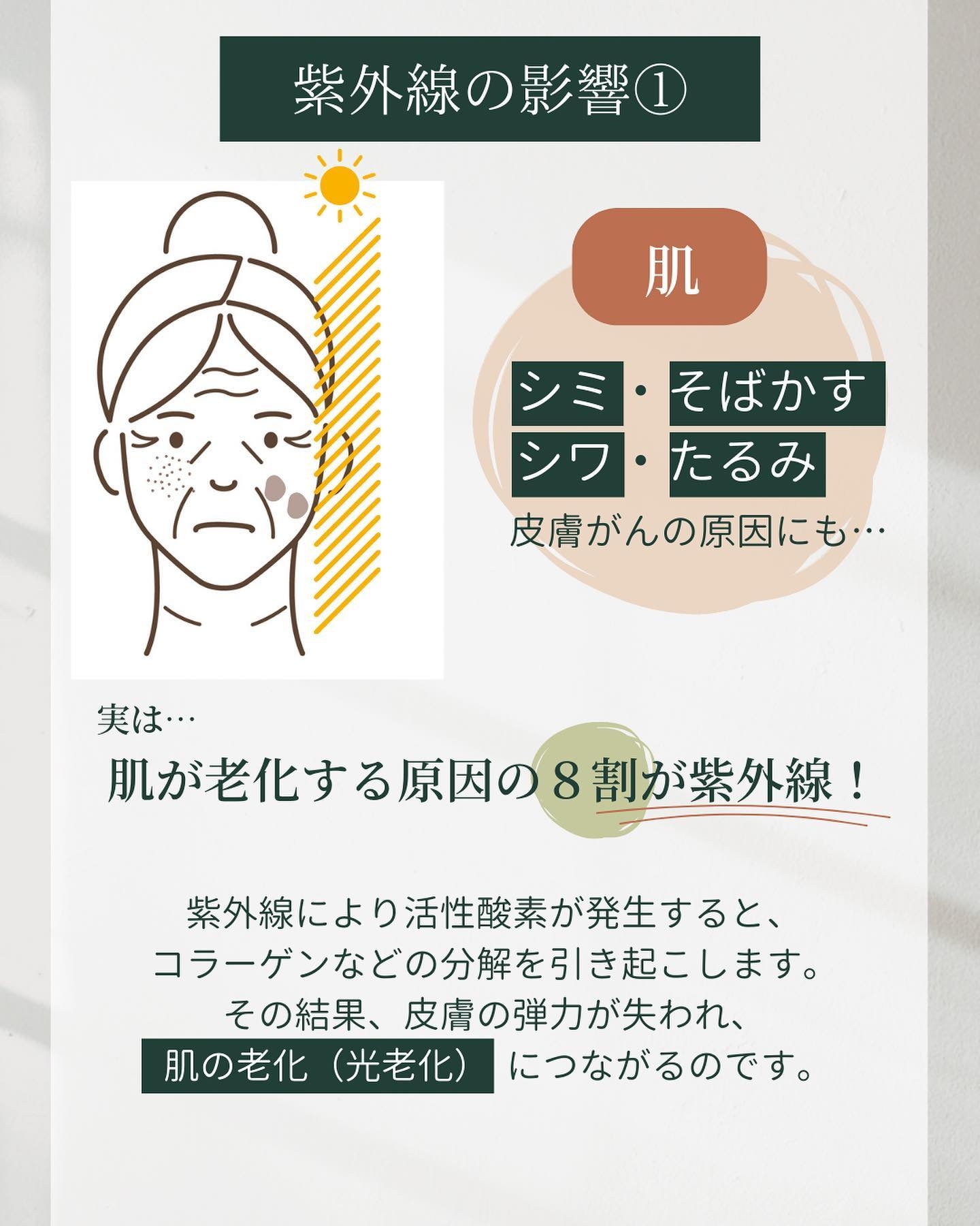 紫外線の肌への影響