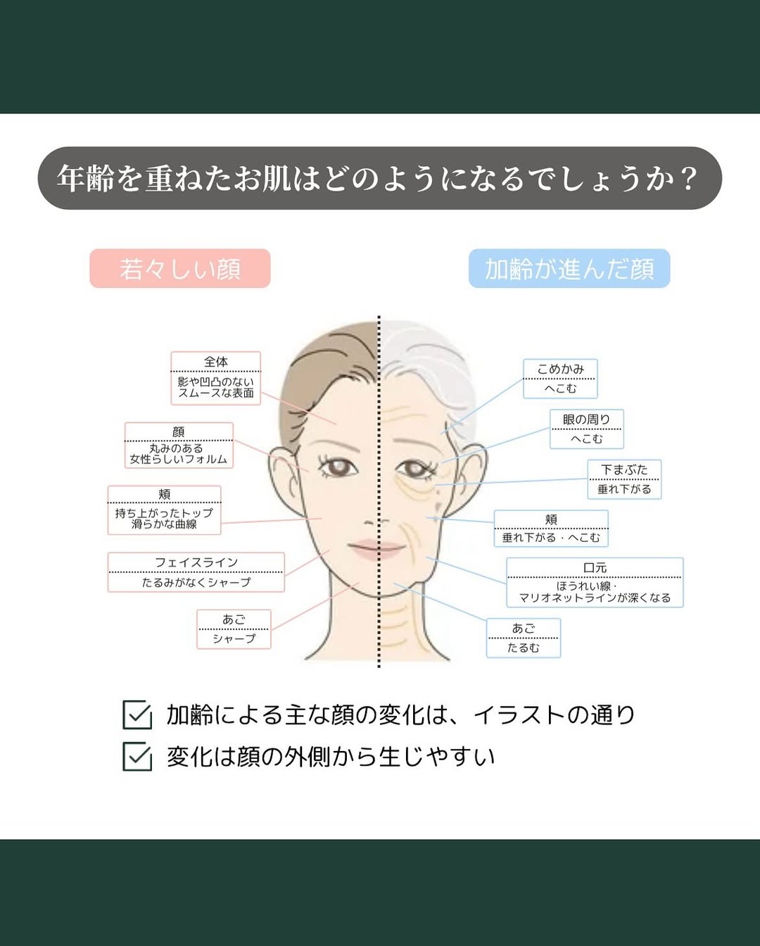 年齢を重ねた肌の特徴