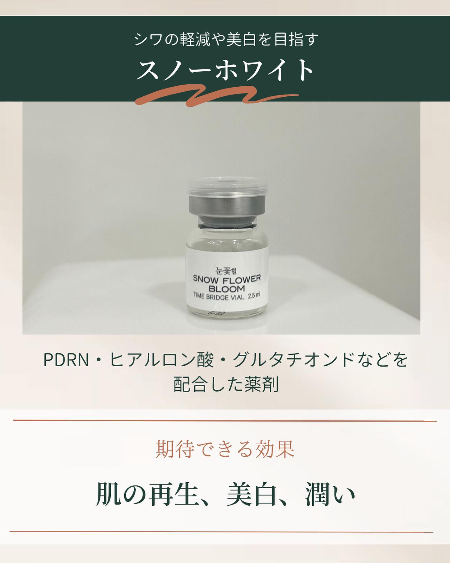 ポテンツァ　スノーホワイト