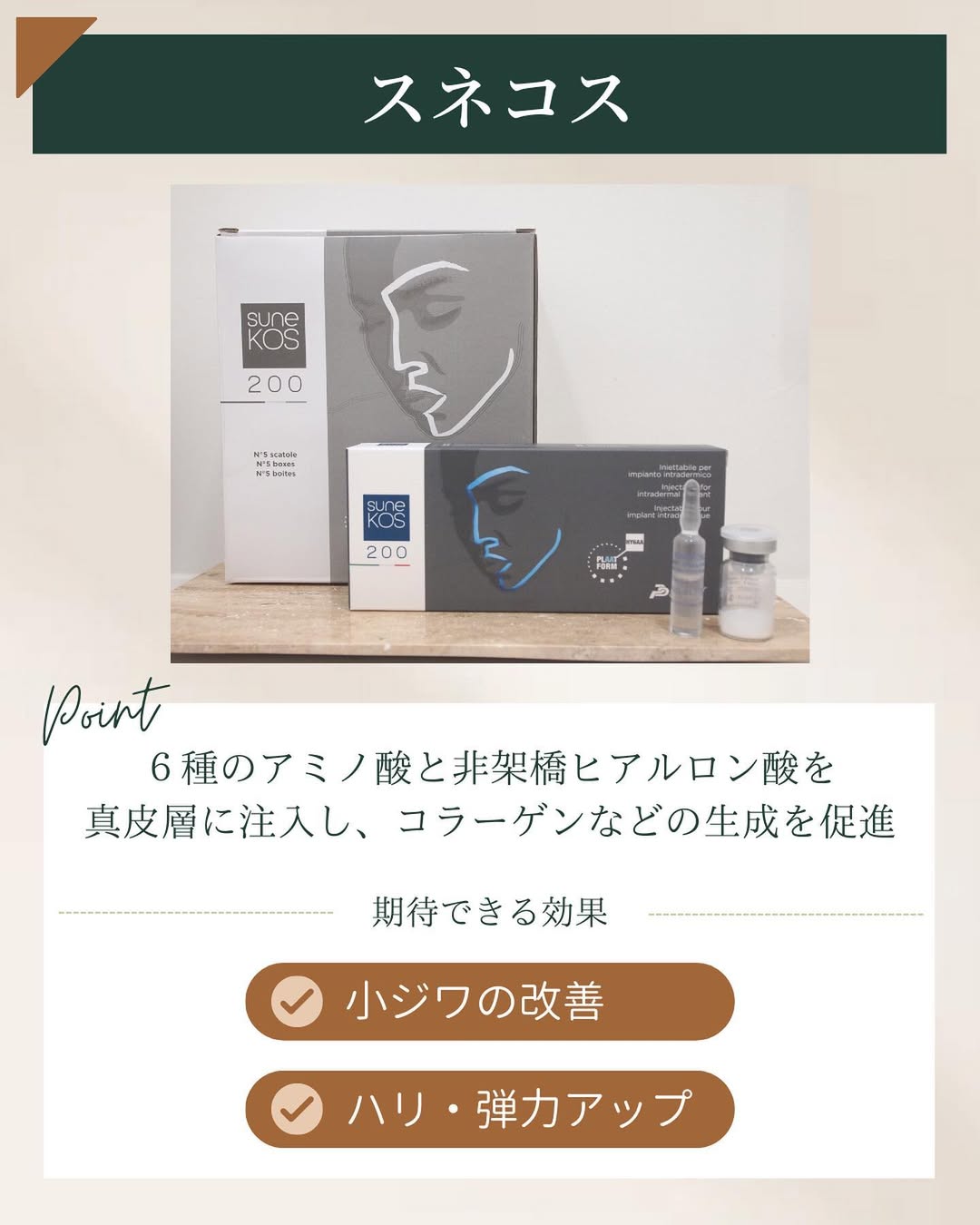 スネコスの特徴