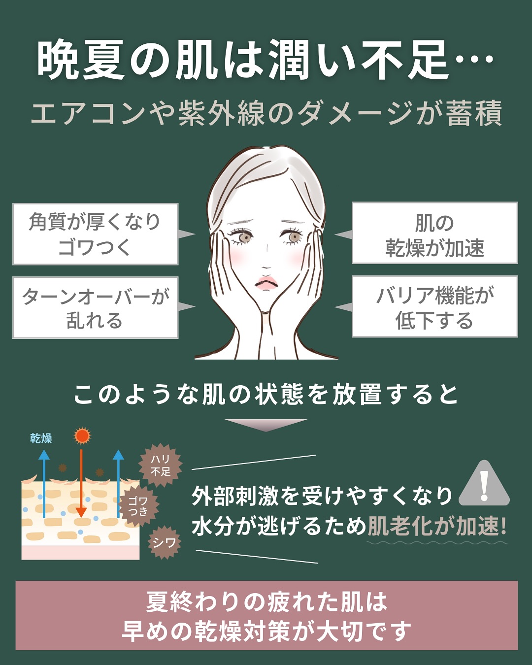 晩夏の肌はうるおい不足