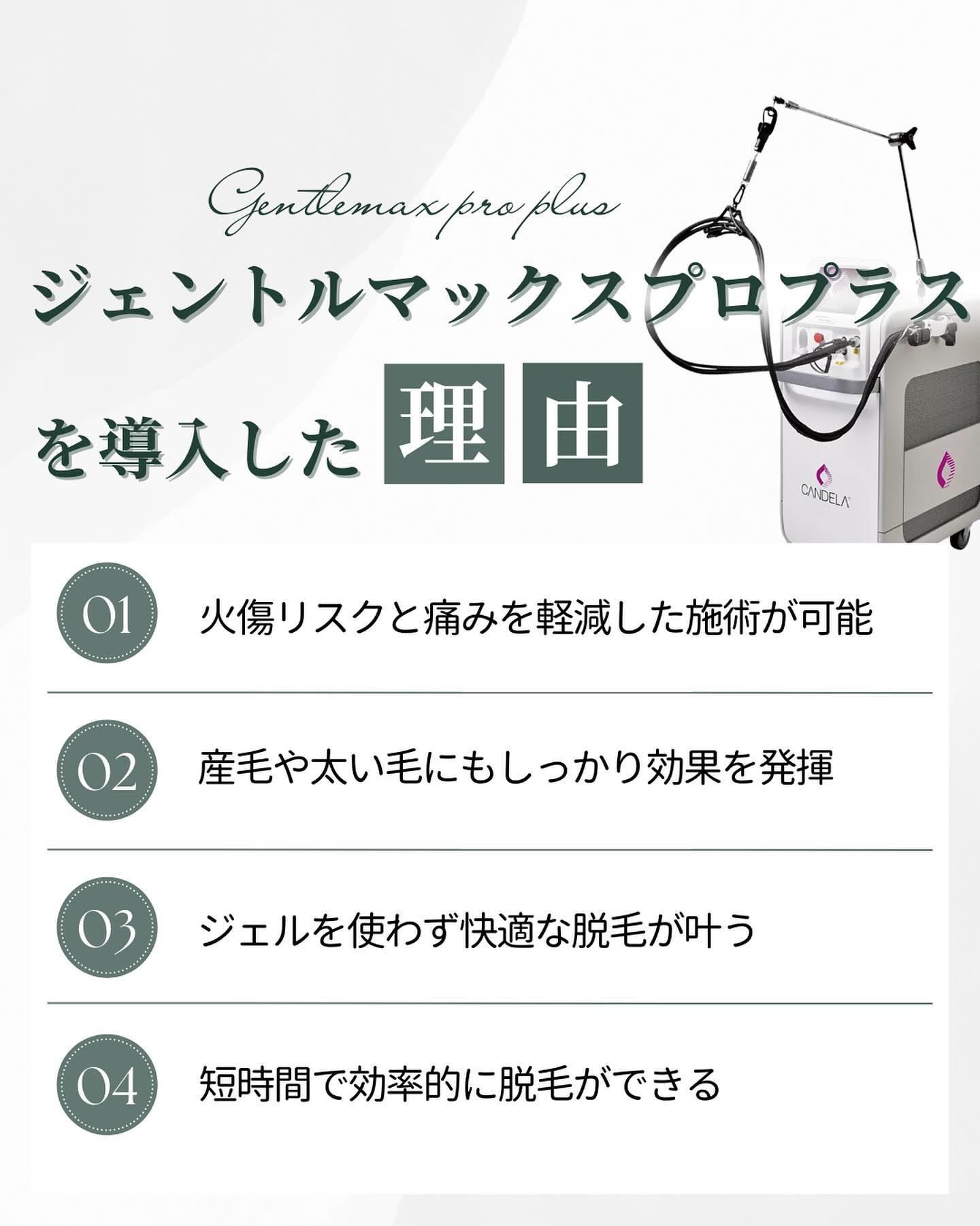 ジェントルマックスプロプラスの魅力