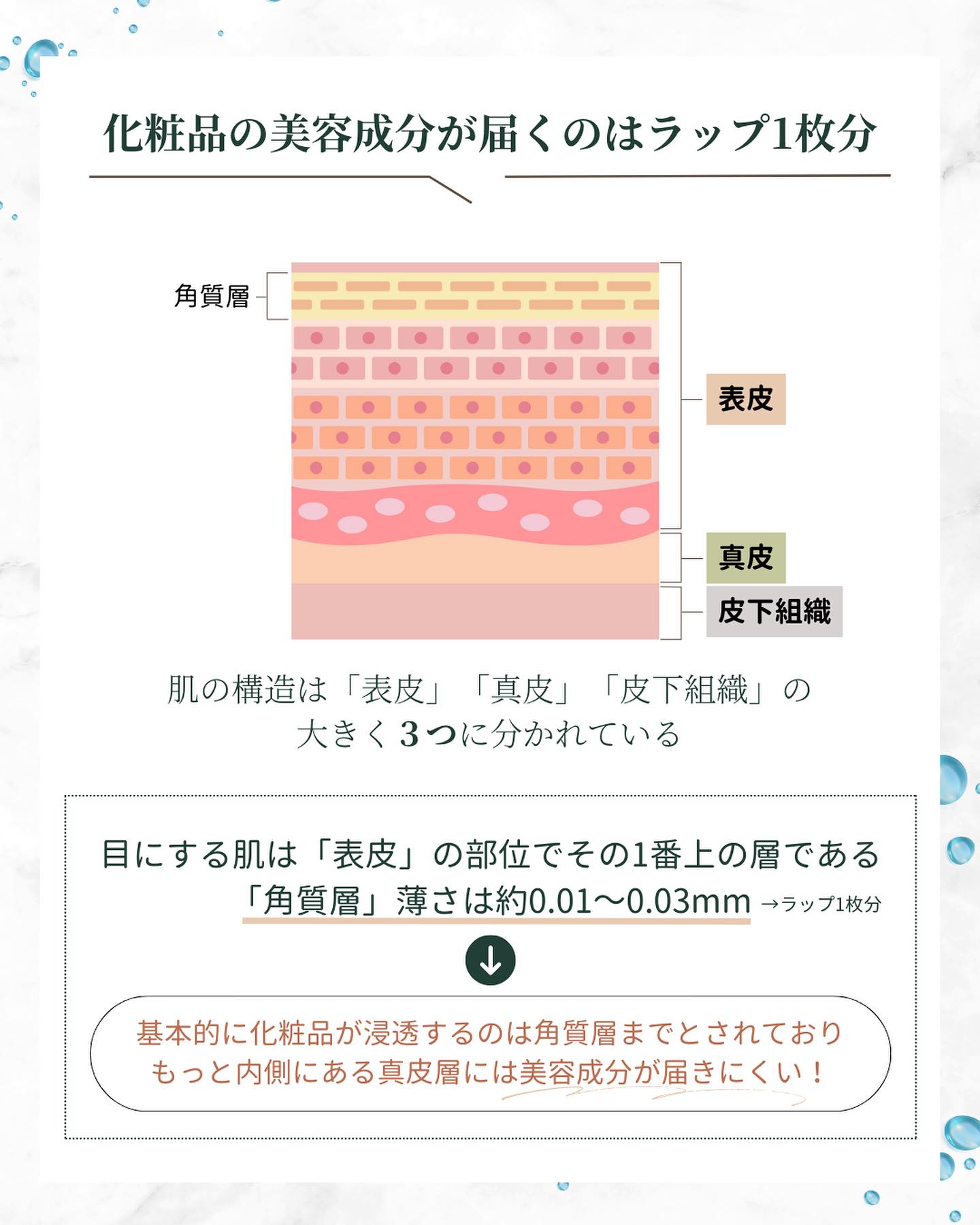 真皮とは