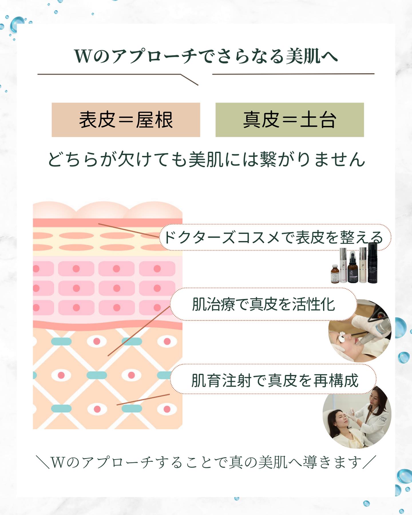 美肌　表皮ケア　真皮ケア
