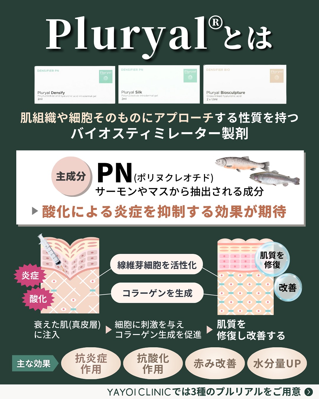 プルリアルとは