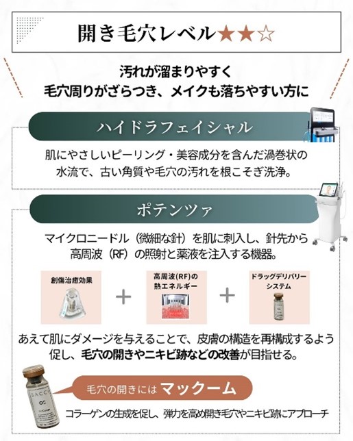 開き毛穴レベル2