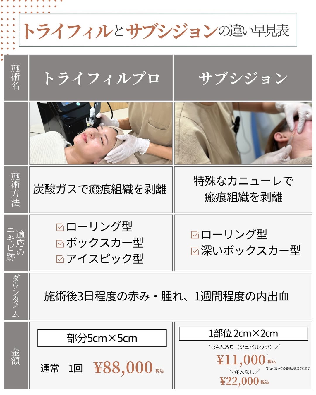 トライフィルプロとサブシジョンの比較表