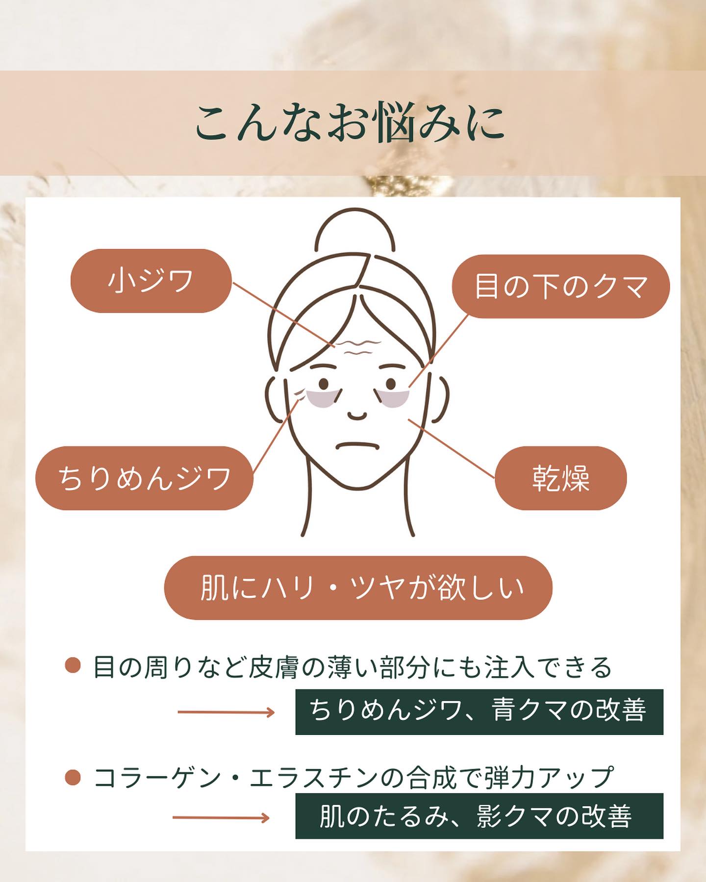 スネコスでアプローチできるお悩み