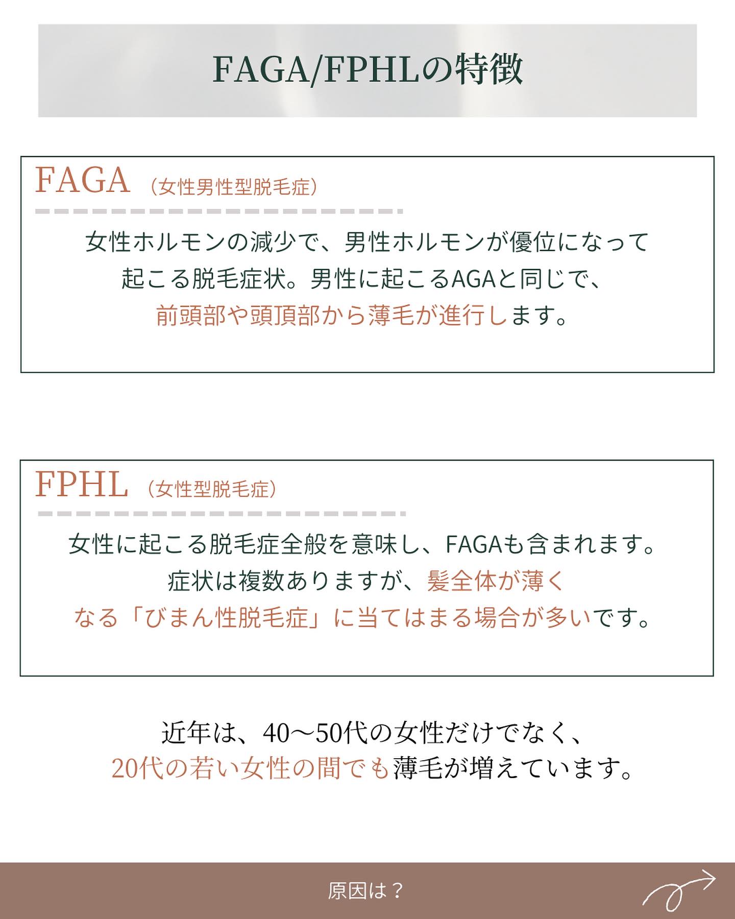 FAGA FPHL 特徴