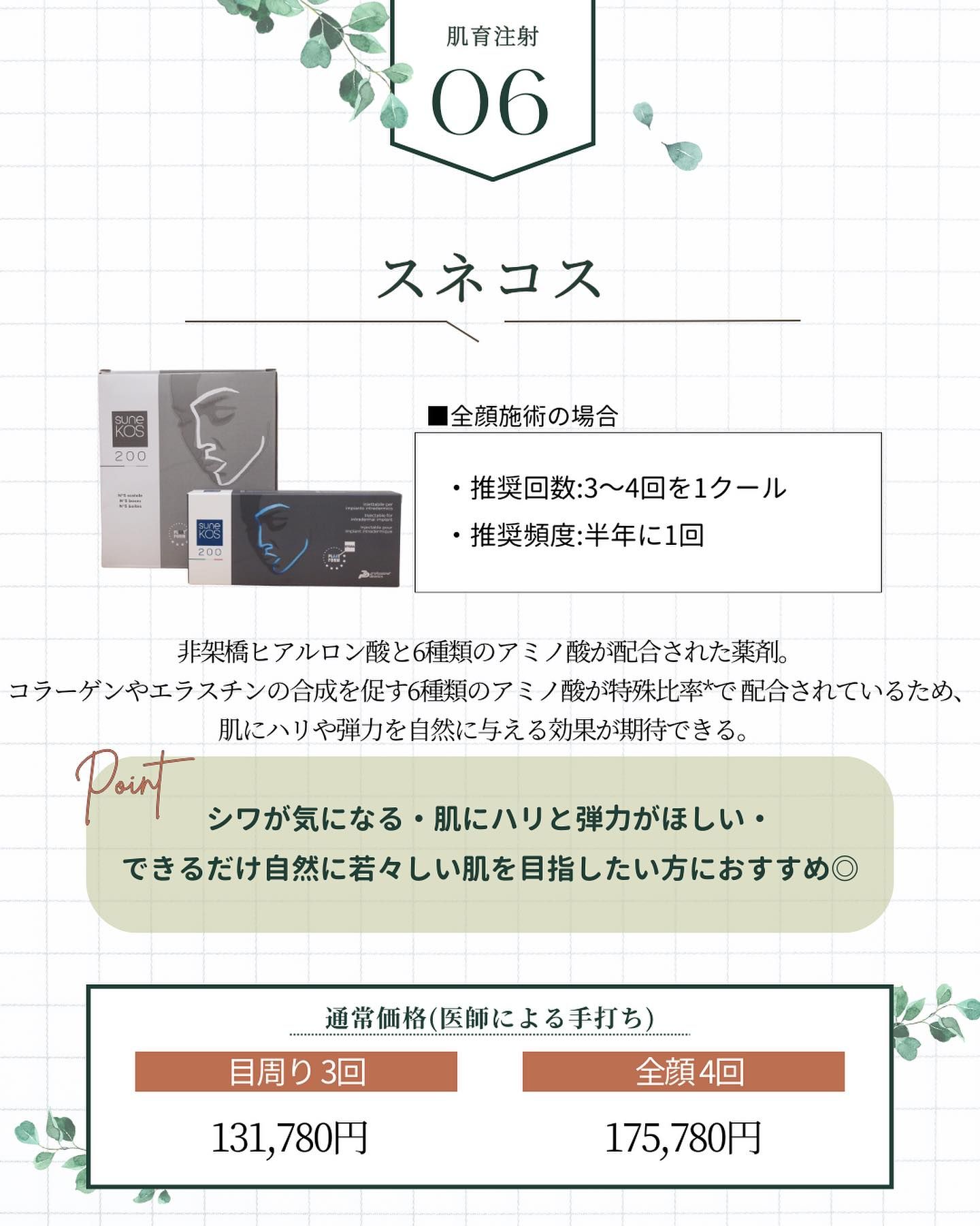 スネコスの特徴