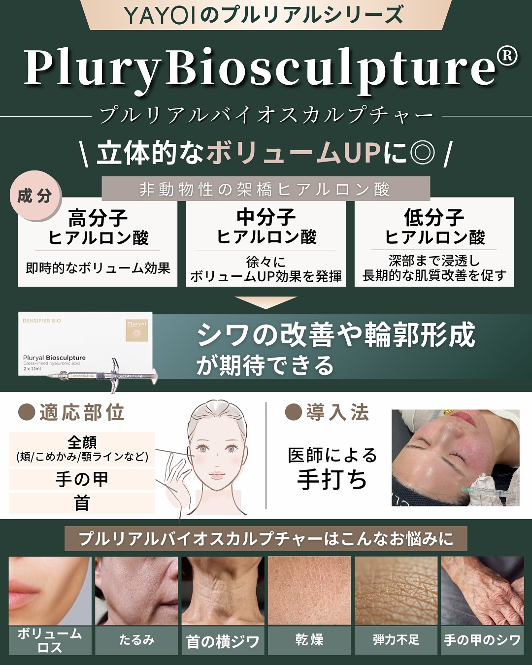 プルリアルバイオスカルプチャーとは