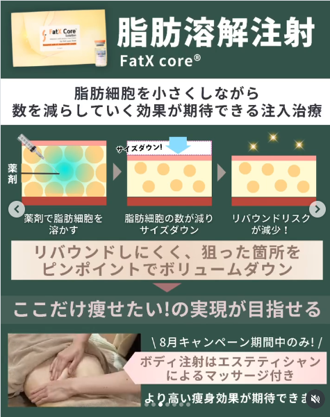 脂肪溶解注射 FatX core