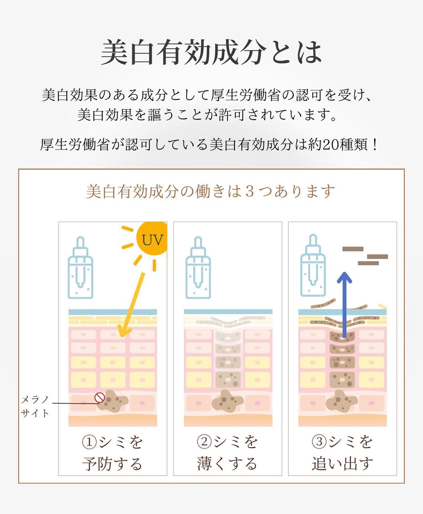 美白有効成分とは