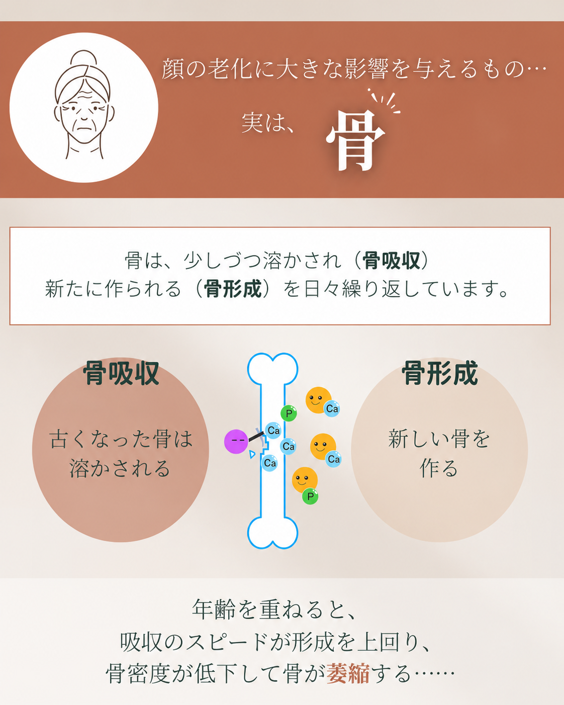 顔の老化に大きな影響を与えるものは骨!