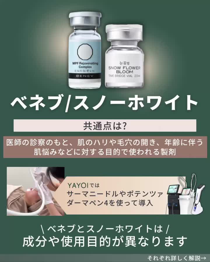ベネブ・スノーホワイトの共通点