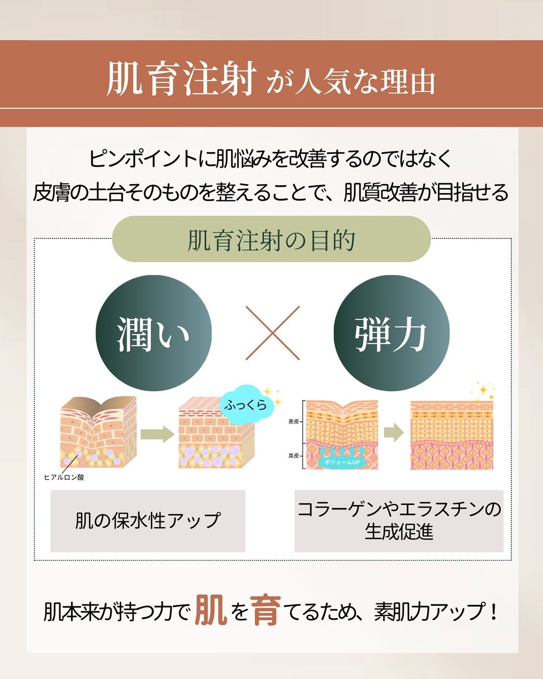 肌育注射が人気な理由