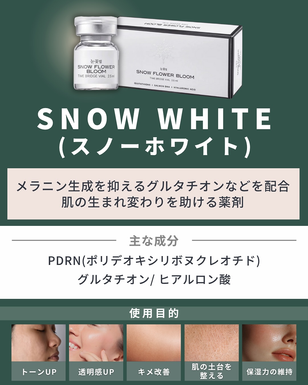 スノーホワイトの主な成分と使用目的