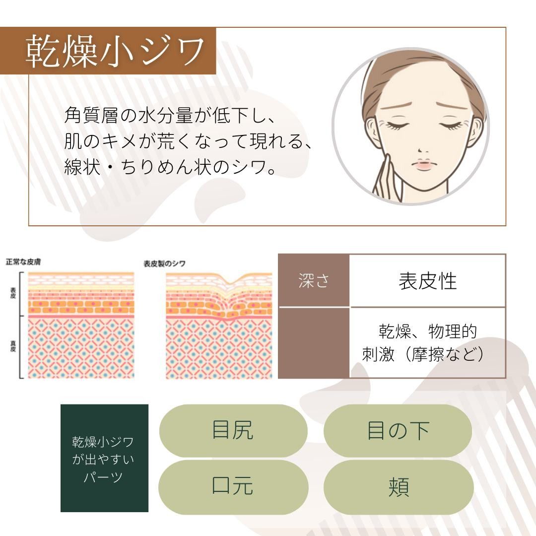 乾燥小ジワの原因と特徴
