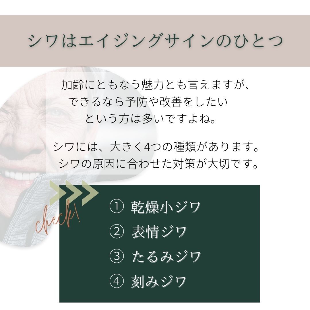 シワの種類
