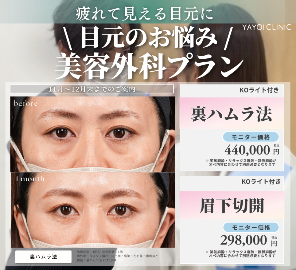 11月〜12月末までのご案内｜目元のお悩みに【美容外科プラン】